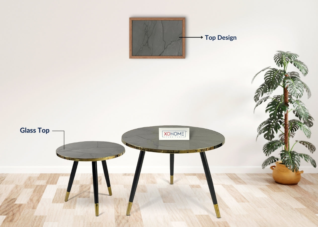 XOHOME Zara Set of 2 coffee tables. It consists of a glass top finished in marble touch. Top is Grey in color.